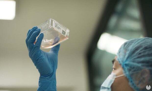 Laboratorio Mamut