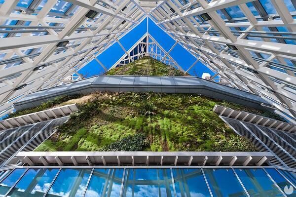 Jardn Vertical Torre de Cristal