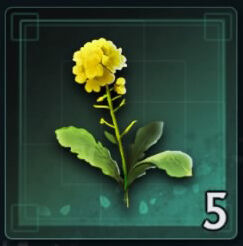 Rise of the Ronin - Material Flor amarilla