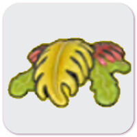 Pok�mon Pokopia: Alimento Algas