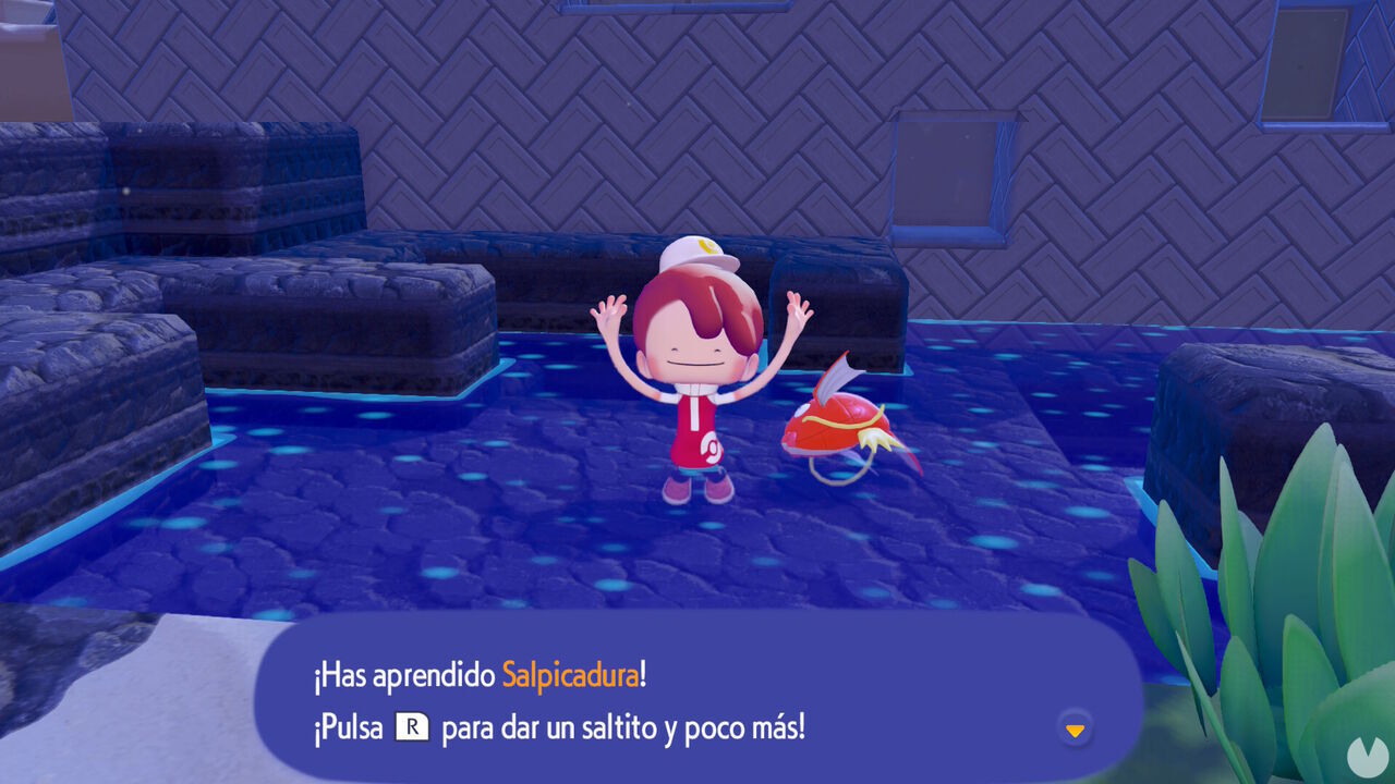 Pok�mon Pokopia - How to unlock the Splash special move for Ditto