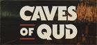 Portada Caves of Qud