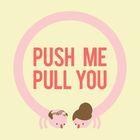 Portada Push Me Pull You