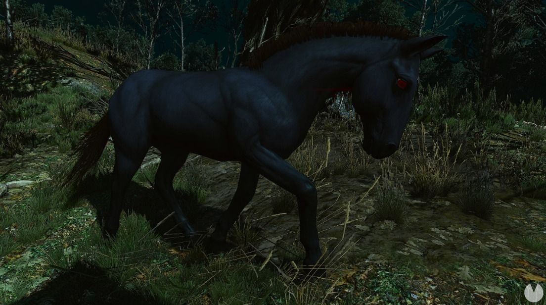 Fantasmas equinos en The Witcher 3: Wild Hunt - Blood & Wine (DLC) - The Witcher 3: Wild Hunt
