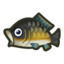 Animal Crossing: New Horizons - All Fish: Carp