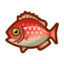 Animal Crossing: New Horizons - Todos los peces: Pargo rojo