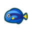 Animal Crossing: New Horizons - All Fish: Surgeonfish