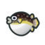 Animal Crossing: New Horizons - Todos los peces: Pez globo