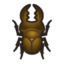 Animal Crossing: New Horizons - Todos los bichos: Escarabajo ciervo Miyama
