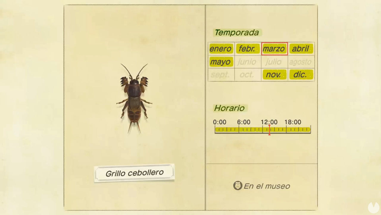 Cómo cazar grillos cebolleros en Animal Crossing: New Horizons