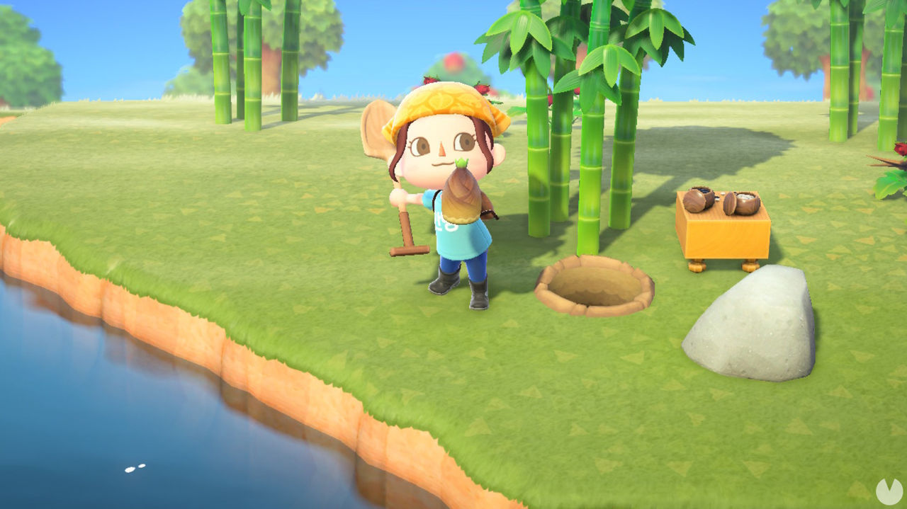 ¿Cómo conseguir bambú en Animal Crossing New Horizons?