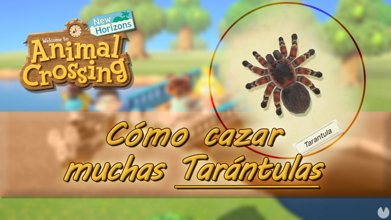Cazar tarntulas fcilmente en Animal Crossing: New Horizons - Animal Crossing: New Horizons
