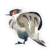 Monster Hunter Rise - Fauna local: Grévol plañidero