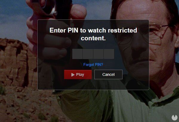 PIN en Netflix