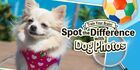 Train Your Brain! Spot the Difference with Dog Photos