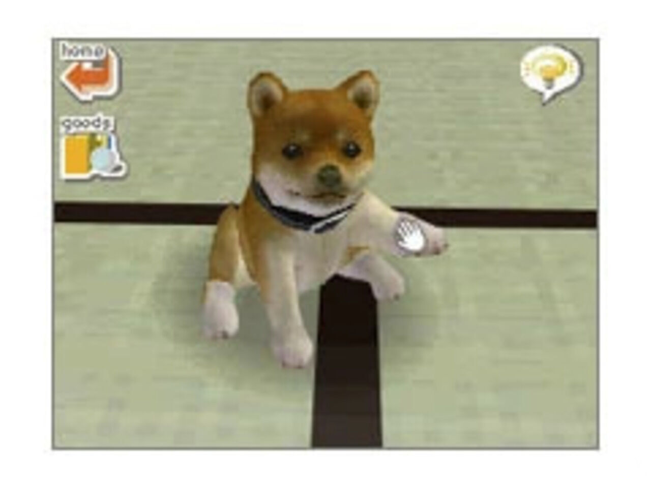 Nintendogs