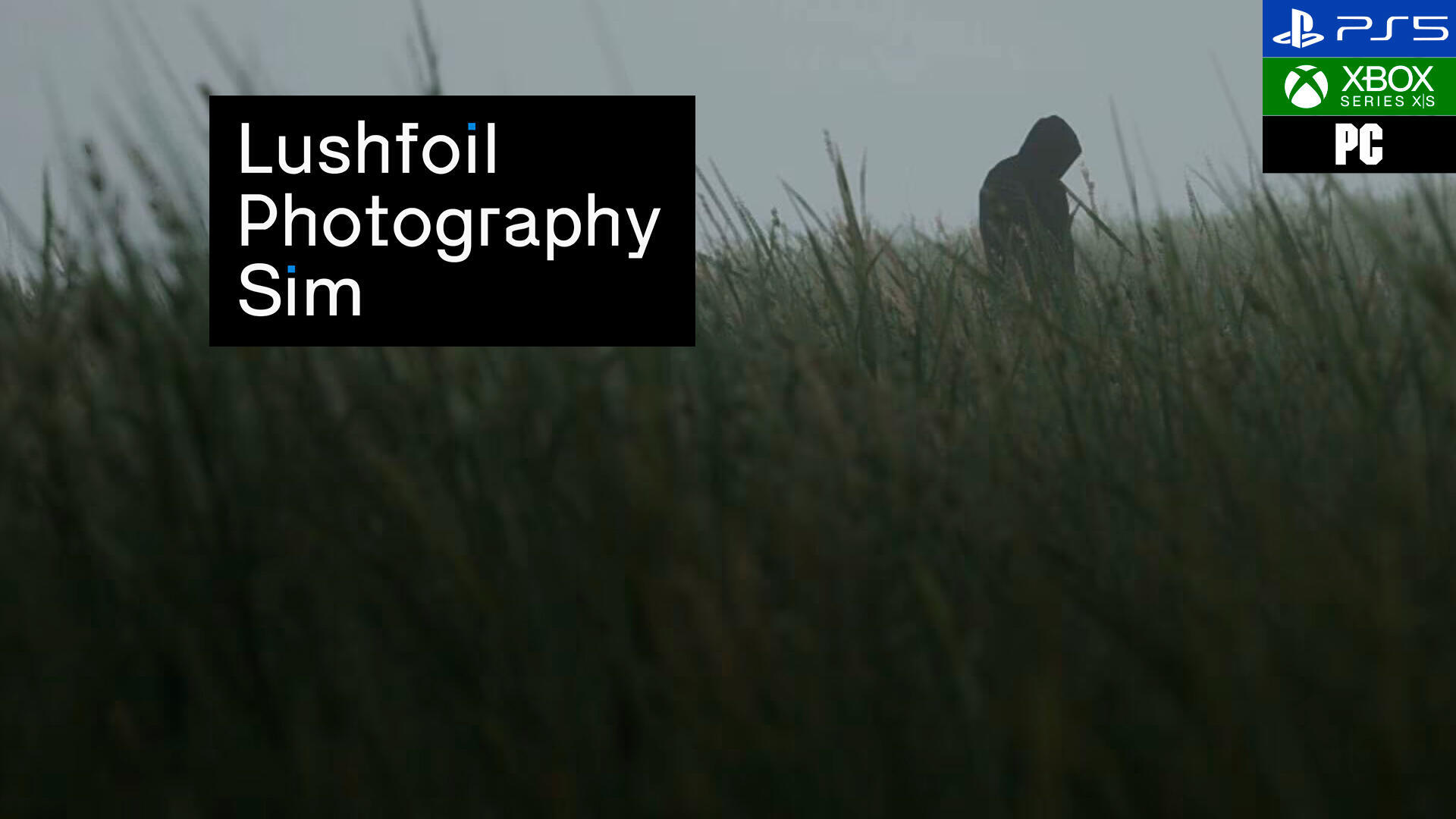Lushfoil Photography Sim