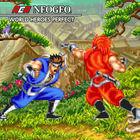 NeoGeo World Heroes Perfect