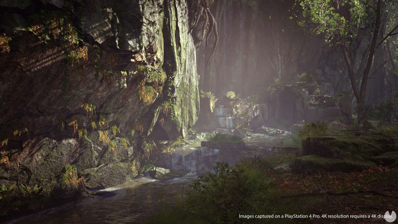 Shadow of the Colossus revela su modo foto para PlayStation 4