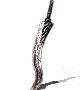 Dark Souls Remastered, Armas, Espadones, Flamberge