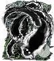 Dark Souls Remastered, Magias, Hechizos, Perseguidores