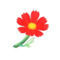 Cosmos en Animal Crossing: New Horizons