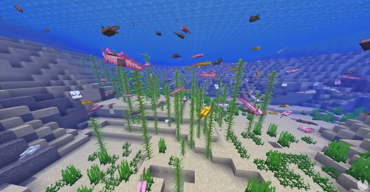 Minecraft - Types of axolotls