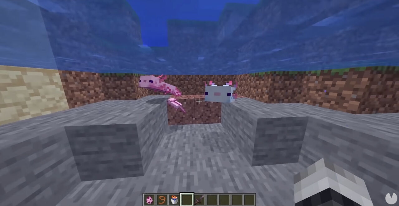 Minecraft - Breeding baby axolotls