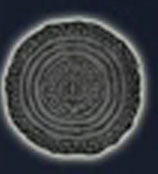 Elden Ring Nightreign - Iconos en el mapa, Cárcel eterna