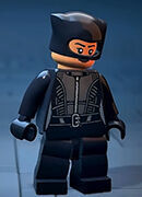 LEGO Batman: El Legado del Caballero Oscuro - Traje de Catwoman - The Batman