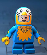 LEGO Batman: El Legado del Caballero Oscuro - Traje de Robin - Fiesta de disfraces