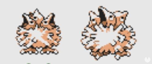 Este pequeño bebé Doduo ya tenía tres cabezas. ¿Cómo iba a tener una más que su evolución?