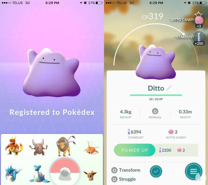 Pokémon GO: dicas para capturar Ditto, o pokémon metamorfo