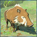 Zelda Tears of the Kingdom - Animal Jabal comn