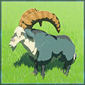 Zelda Tears of the Kingdom - Animal Cabra silvestre