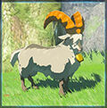 Zelda Tears of the Kingdom - Animal Cabra domstica