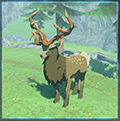 Zelda Tears of the Kingdom - Animal Ciervo