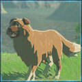 Zelda Tears of the Kingdom - Animal Perro hyliano