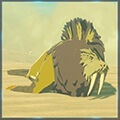 Zelda Tears of the Kingdom - Animal Morsa del desierto