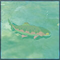 Zelda Tears of the Kingdom - Animal Trucha gnea