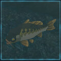 Zelda Tears of the Kingdom - Animal Carpa recia