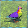 Zelda Tears of the Kingdom - Animal Paloma arcoris