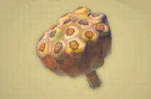 Zelda Tears of the Kingdom - Receta Semilla de loto asada