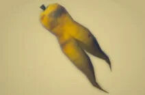 Zelda Tears of the Kingdom - Receta Zanahoria briosa asada