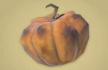 Zelda Tears of the Kingdom - Receta Calabaza robusta asada