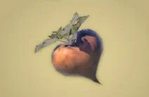 Zelda Tears of the Kingdom - Receta Rbano vivaz asado