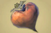 Zelda Tears of the Kingdom - Receta Rbano vivaz grande asado