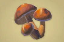 Zelda Tears of the Kingdom - Receta Seta gnea asada