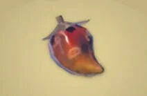 Zelda Tears of the Kingdom - Receta Baya gnea asada