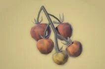 Zelda Tears of the Kingdom - Receta Tomates hylianos asados